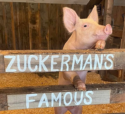 Wilbur
